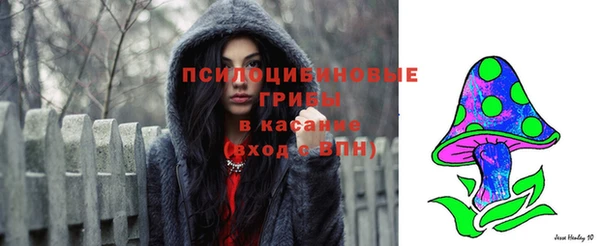 герыч Коряжма