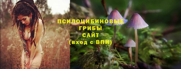 герыч Коряжма