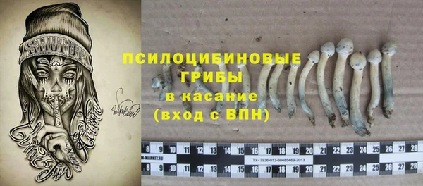 амф Корсаков
