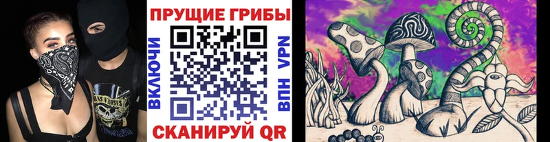 Галлюциногенные грибы мухоморы Купить Вятские Поляны